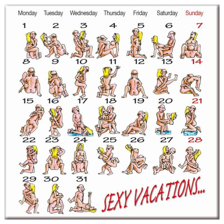 Imán de Calendario Kamasutra de Diverty Sex | VibraZon