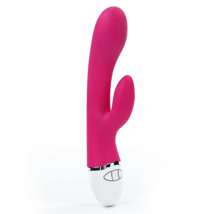 Vibrador Dreamer USB Rose Red de Lovetoy