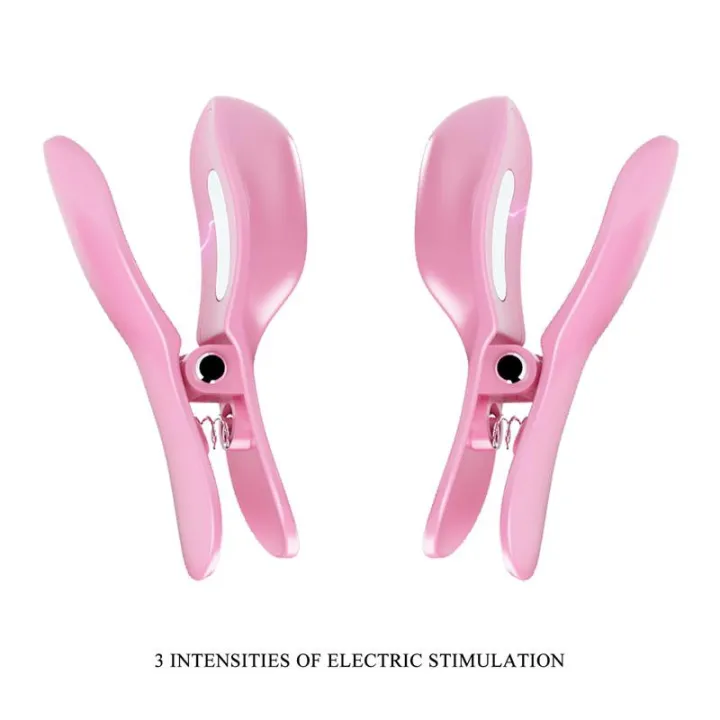 Surprise Box Huevo Vibrador y Pinzas para Pezones con Electro Estimulación Rosa de Prettylove