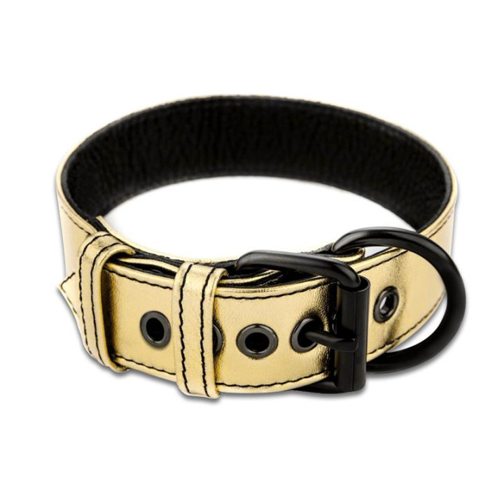 Collar con Correa Bondage Dorado de Lovetoy | VibraZon