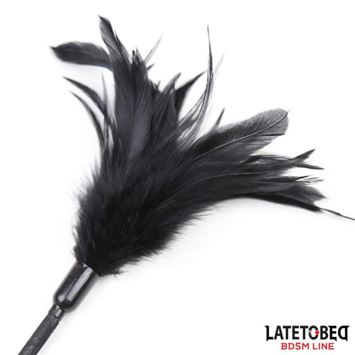Multi Feathers Tickler and Lace Ribbon Paddle Comb de Latetobed Bdsm Line | VibraZon
