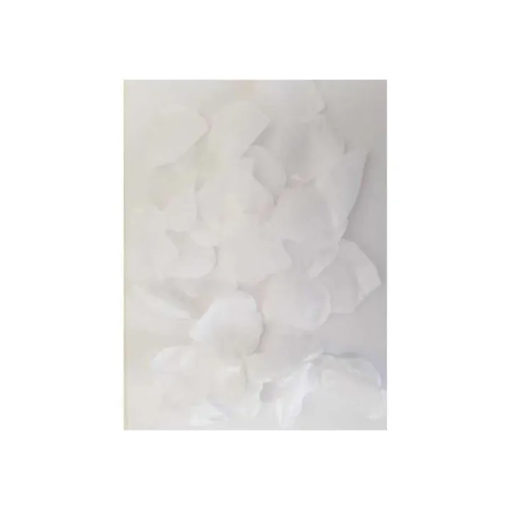 100 Pétalos Color Blanco de Diverty Sex