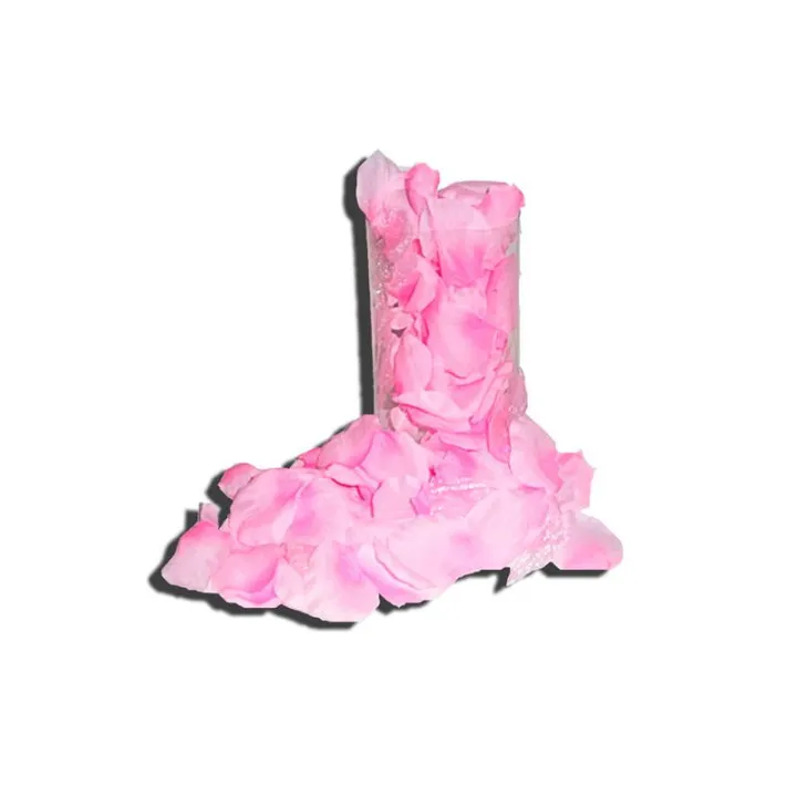 Pétalos de Rosa 120 Unidades Color Rosa de Diverty Sex