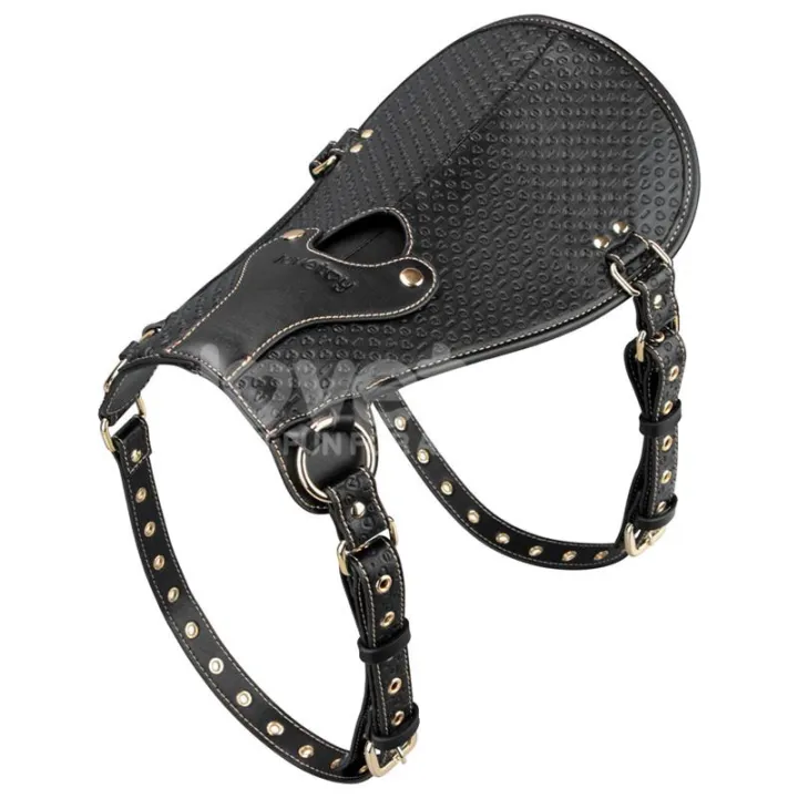 Rebellion Reign Dildo Saddle Silla de Montar de Lovetoy