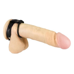 Anillo de Goma para Pene y Testículos de Bondage Play | VibraZon