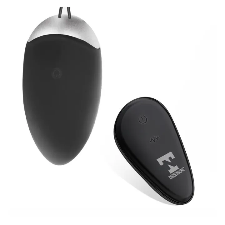 Ralan Huevo Vibrador con Control Remoto USB Magnético de Tardenoche
