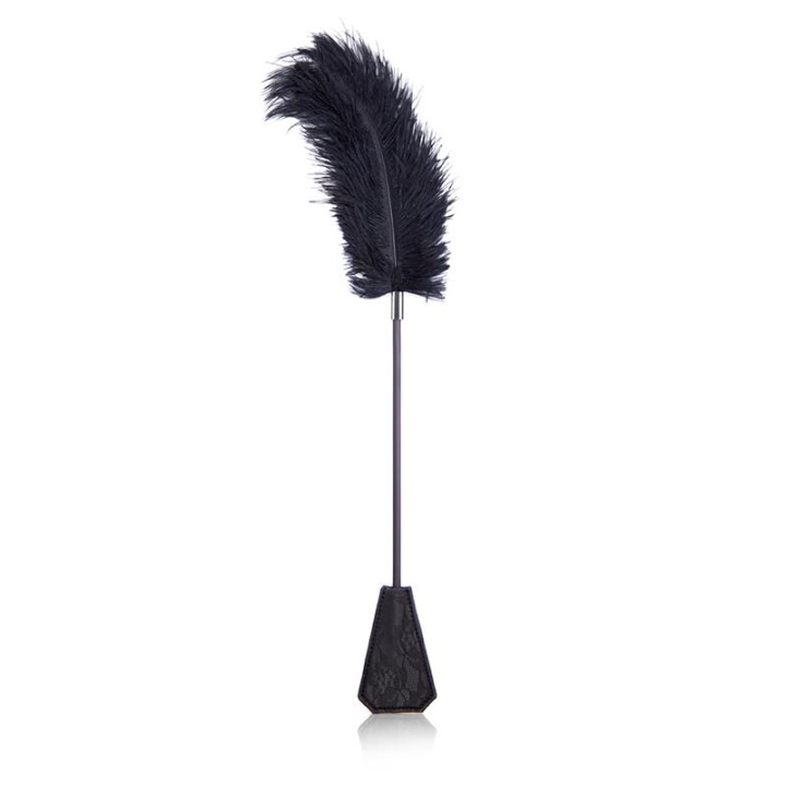 Plumero y Pala con Encaje 2 en 1 56 cm Negro de Latetobed Bdsm Line | VibraZon