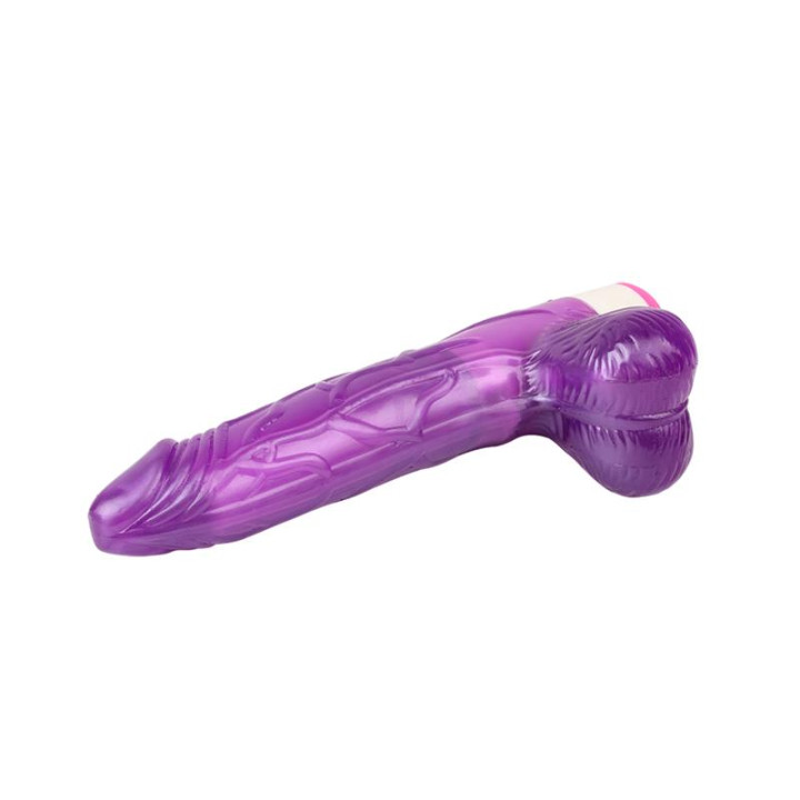 Vibrador Multi Velocidad Realista Púrpura 20cm de Chisa | VibraZon