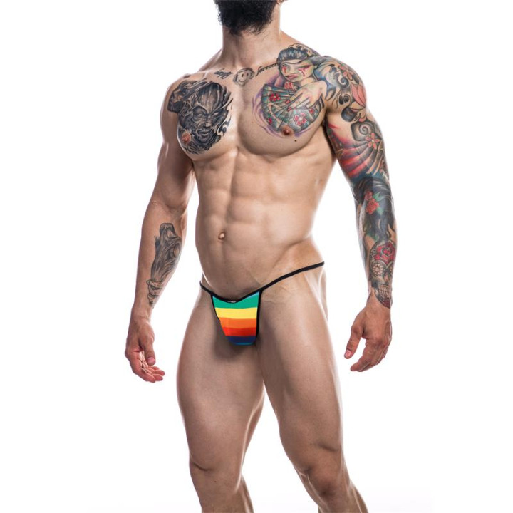 C4M12 Briefkini Arcoiris Rainbow de Cut4Men | VibraZon
