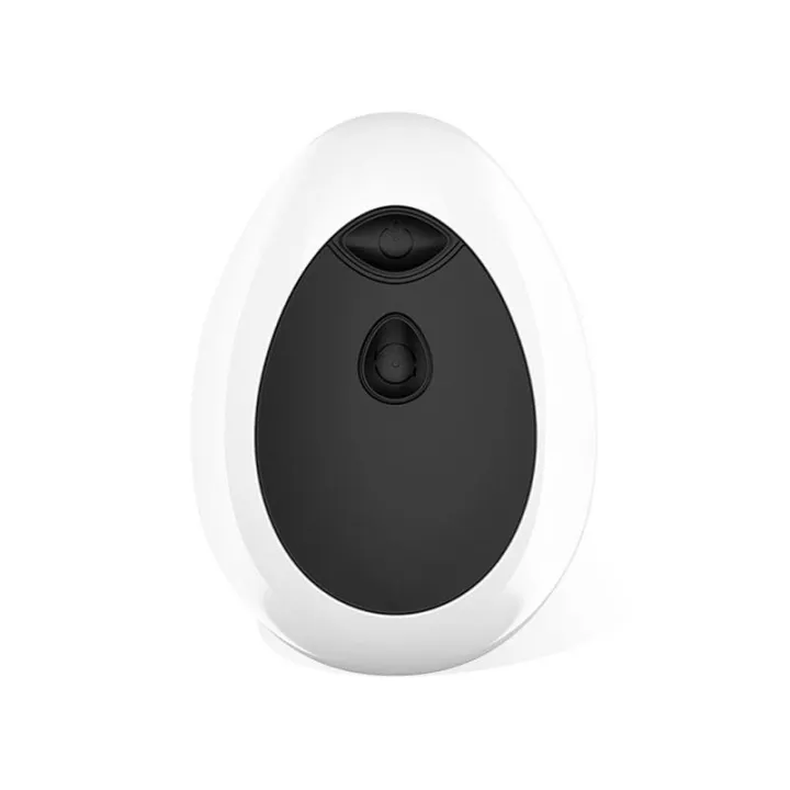 Dwen Estimulador Prostático USB con Control Remoto de Latetobed