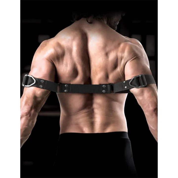 Correas para Bíceps de Sir Richards