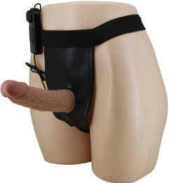 PRETTY LOVE - ARNES BRIEFS CON VIBRACIÓN DILDO INCLUIDO | VibraZon