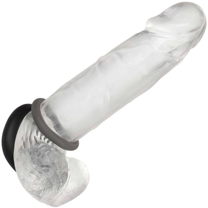 CALEXOTICS - ALPHA SET DE 2 ANILLOS PROLONG GRIS | VibraZon