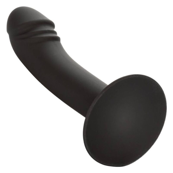 CALEXOTICS - CURVED ANAL STUD | VibraZon