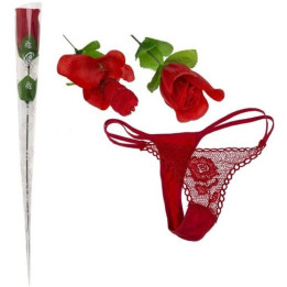 DIABLO PICANTE - ROSA CONVERTIBLE EN TANGA | VibraZon