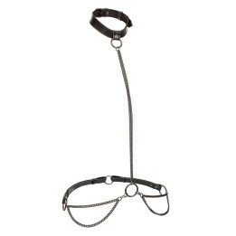 CALEXOTICS - EUPHORIA COLLAR HALTER Y CORREA CON CADENA | VibraZon