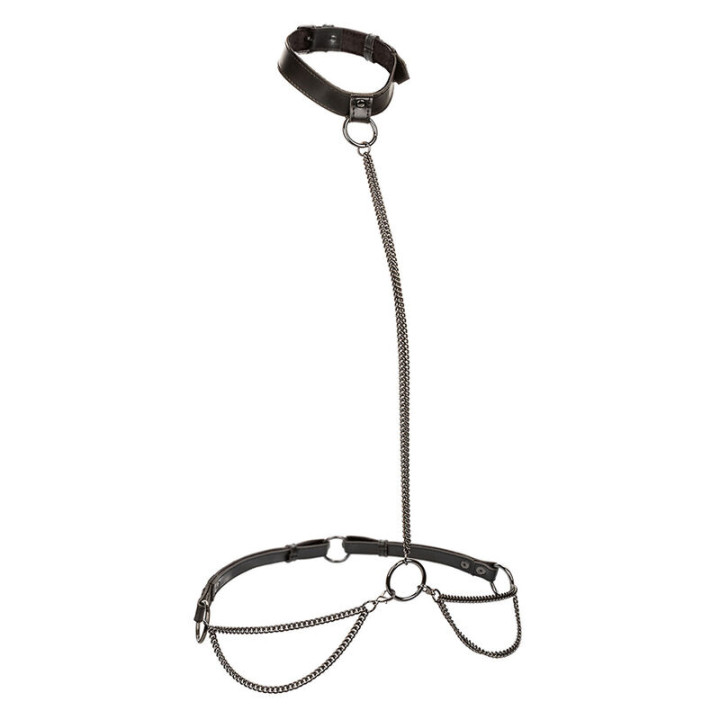 CALEXOTICS - EUPHORIA COLLAR HALTER Y CORREA CON CADENA TALLA PLUS | VibraZon