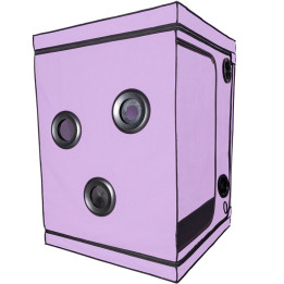 SECRET DOME - KINK CLUB CABINA SCANDALE MORADO | VibraZon