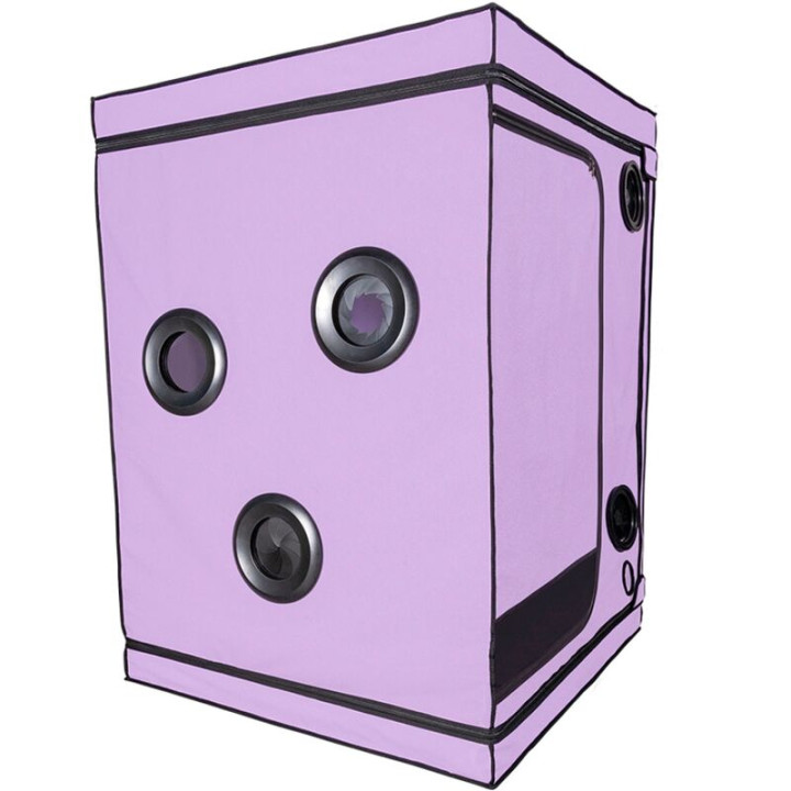 SECRET DOME - KINK CLUB CABINA SCANDALE MORADO | VibraZon