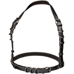 CALEXOTICS - EUPHORIA ARNÉS HATLER CON HEBILLA TALLA GRANDE NEGRO | VibraZon
