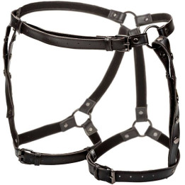 CALEXOTICS - EUPHORIA ARNÉS DE MUSLO EQUITACIÓN TALLA GRANDE | VibraZon