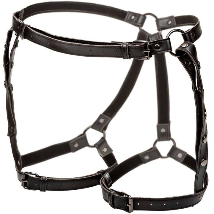 CALEXOTICS - EUPHORIA ARNÉS DE MUSLO EQUITACIÓN TALLA GRANDE | VibraZon