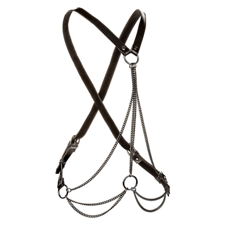 CALEXOTICS - EUPHORIA ARNÉS DE MÚLTIPLES CADENAS PREMIUM | VibraZon