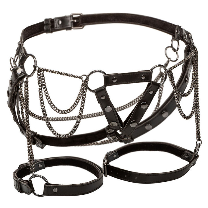 CALEXOTICS - EUPHORIA ARNÉS DE MUSLO CON CADENAS PREMIUM TALLA PLUS | VibraZon