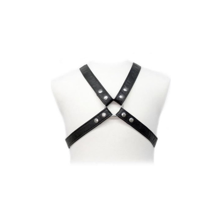 LEATHER BODY - LASIC ARNES IN GARMENT | VibraZon