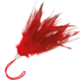DARKNESS - PLUMA ESTIMULADORA ROJO 17CM | VibraZon