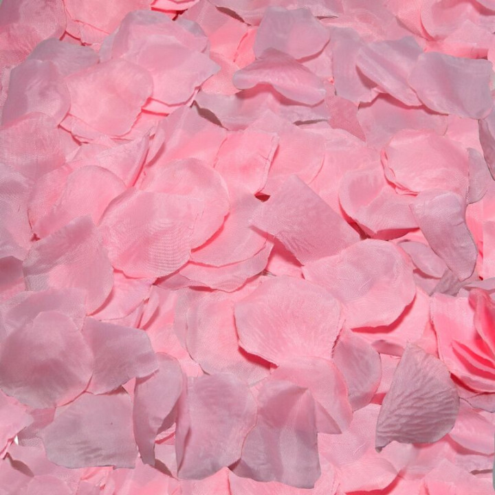 DIABLO PICANTE - 100 PÉTALOS ROSA | VibraZon