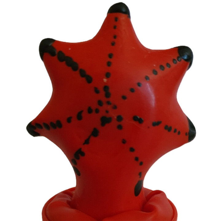 CONDOMERIE - PRESERVATIVO DECORATIVO PINTADO A MANO ESTRELLA DE MAR | VibraZon