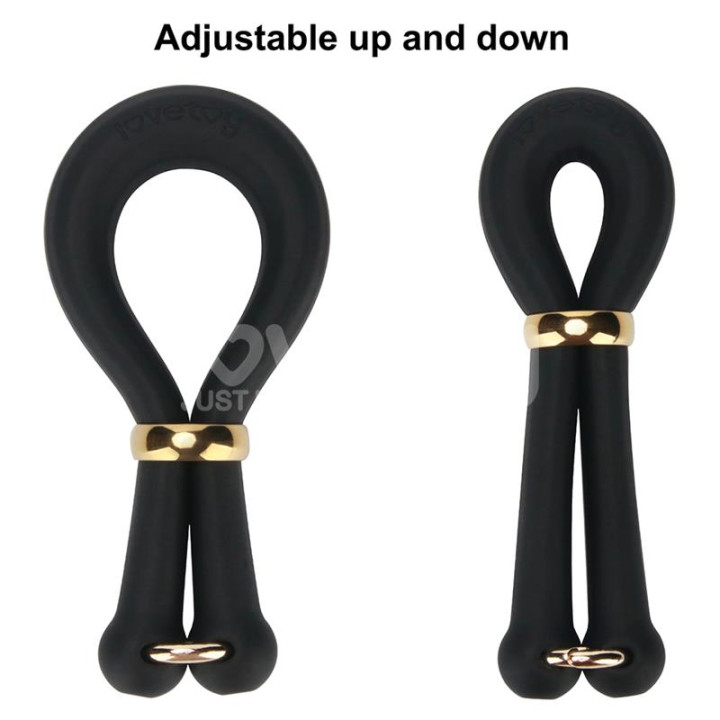 Pinnacle Pro Anyfit Anillo para Pene y Testículos de Lovetoy | VibraZon