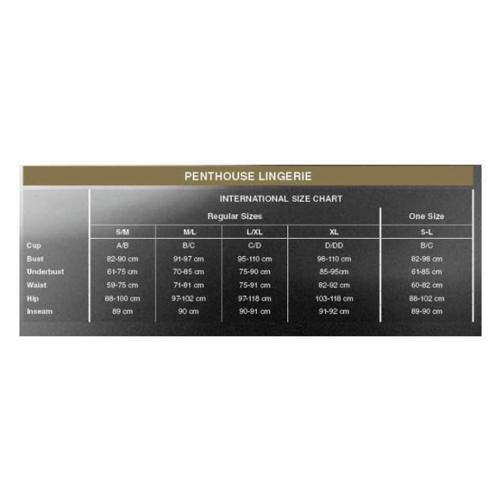 Medias Tipo Liguero No excuses de Penthouse | VibraZon