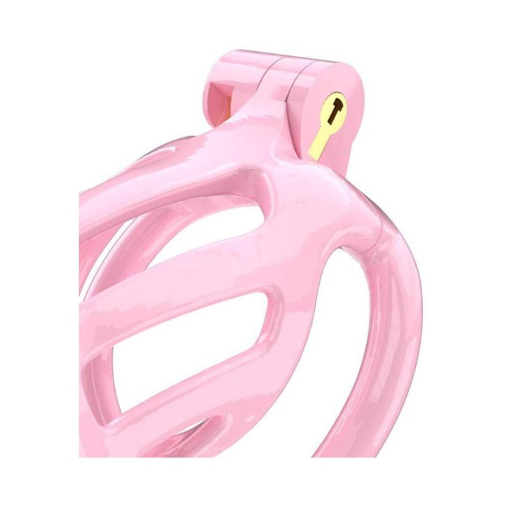 Jaula para el Pene PC02 Rosa de Penis Cages | VibraZon