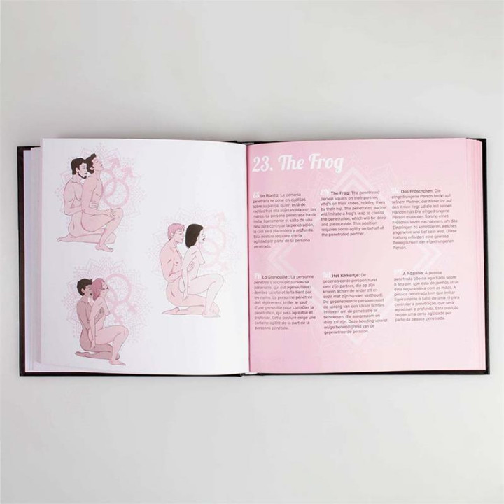 Libro Kamasutra 69 Posturas (ES/EN/DE/FR/NL/PT) de Secret Play | VibraZon