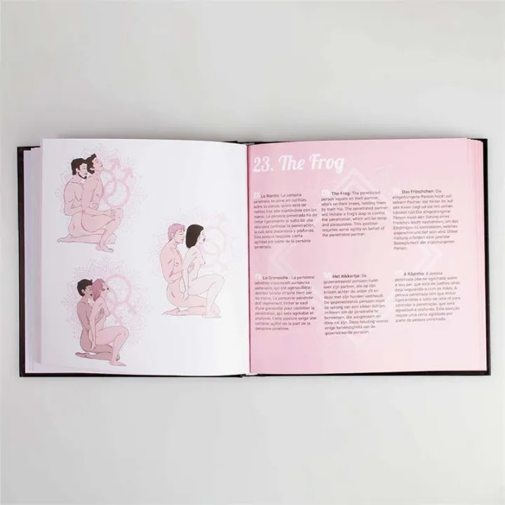 Libro Kamasutra 69 Posturas (ES/EN/DE/FR/NL/PT) de Secret Play