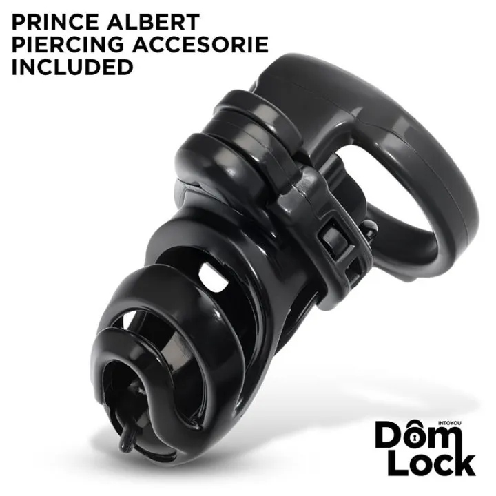 Detention Jaula para el Pene con Accesorio para Prince Albert de Domlock