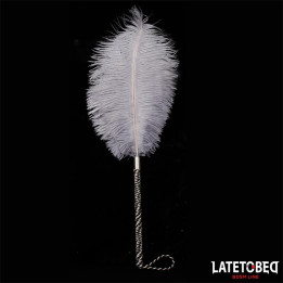 Pluma Estimuladora 44 cm de Latetobed Bdsm Line | VibraZon