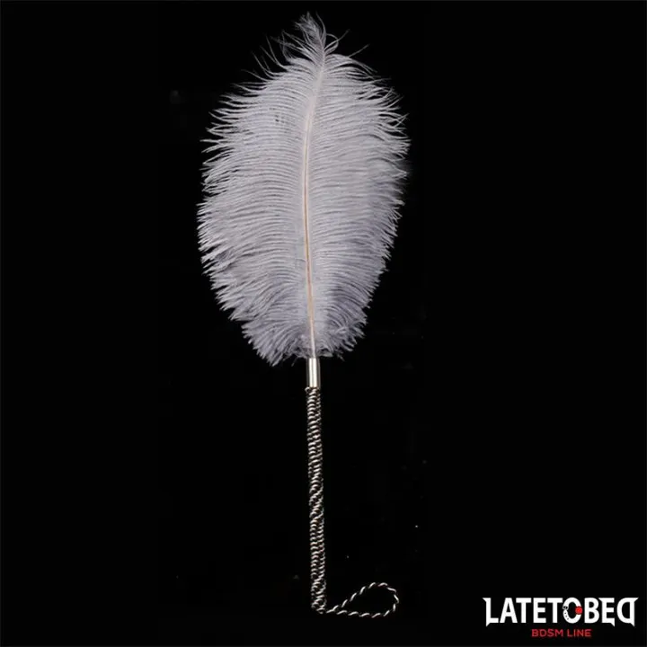 Pluma Estimuladora 44 cm de Latetobed Bdsm Line