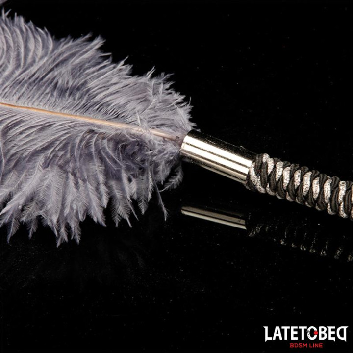 Pluma Estimuladora 44 cm de Latetobed Bdsm Line | VibraZon