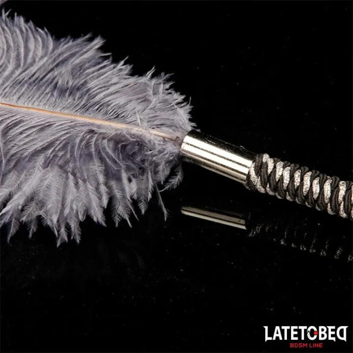 Pluma Estimuladora 44 cm de Latetobed Bdsm Line
