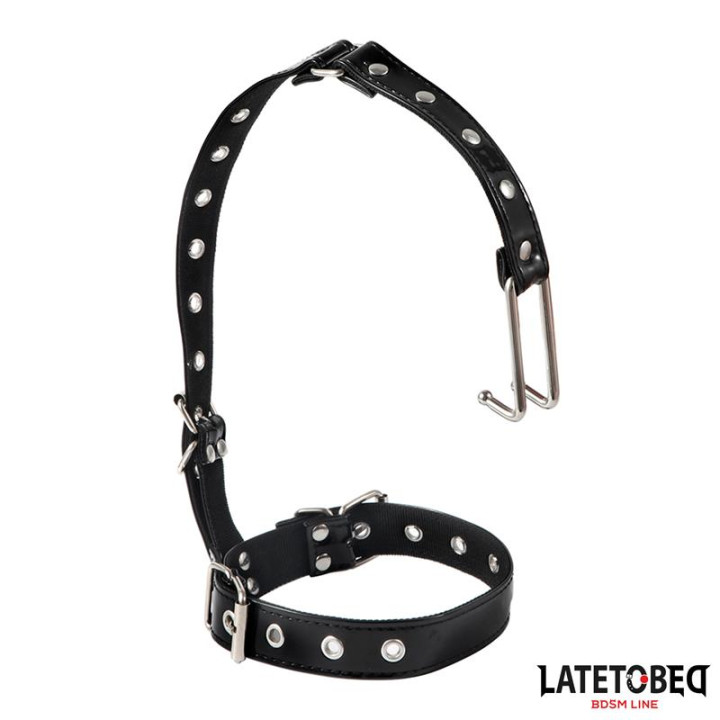 Collar con Gancho para la Nariz de Latetobed Bdsm Line | VibraZon