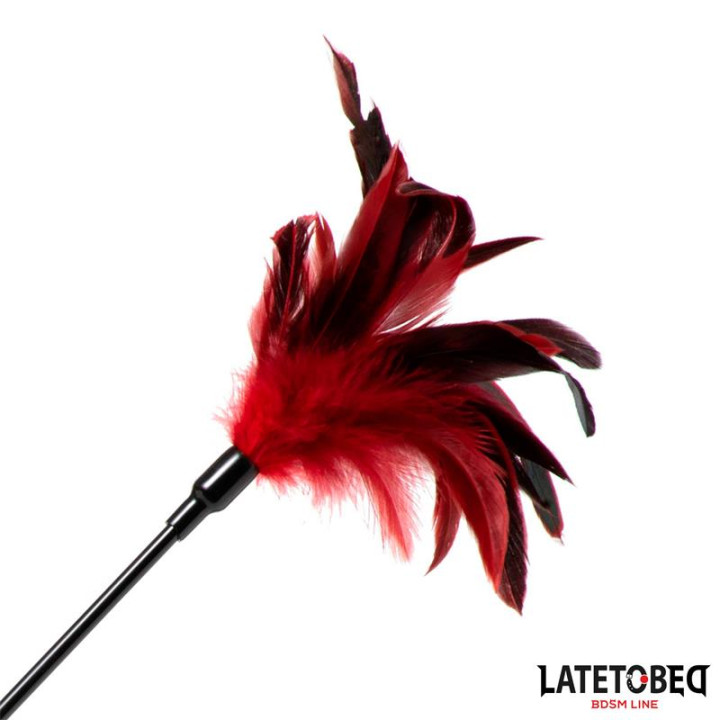 Pala con Plumas 2 en 1 de Latetobed Bdsm Line | VibraZon