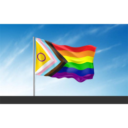 Bandera Intersexsual 90x150cm de Pride | VibraZon