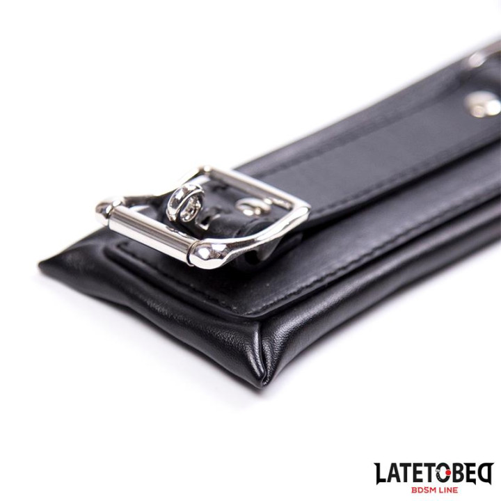 Collar Acolchado Grande con Correa de Latetobed Bdsm Line | VibraZon