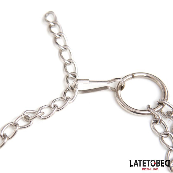 Pinzas Pezones con Anillo para Pene Talla Única de Latetobed Bdsm Line | VibraZon