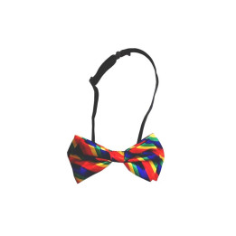 Pajarita con la Bandera LGBT+ de Diverty Sex | VibraZon