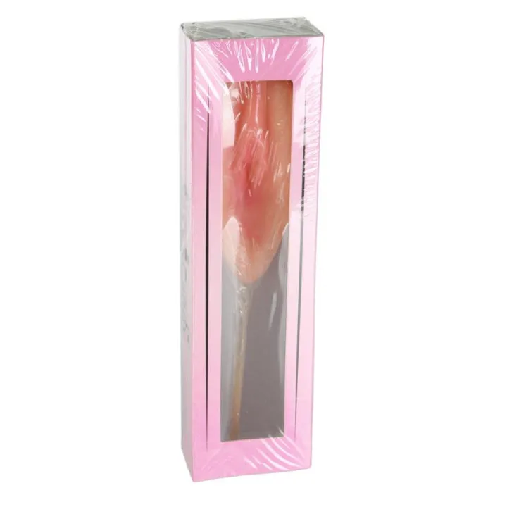 Piruleta Vagina Sabor Fresa de Ootb