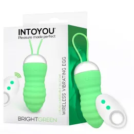 Brightgreen Huevo Vibrador Control Remoto USB Silicona de Intoyou